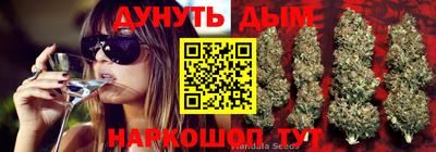 дмт Усть-Джегута