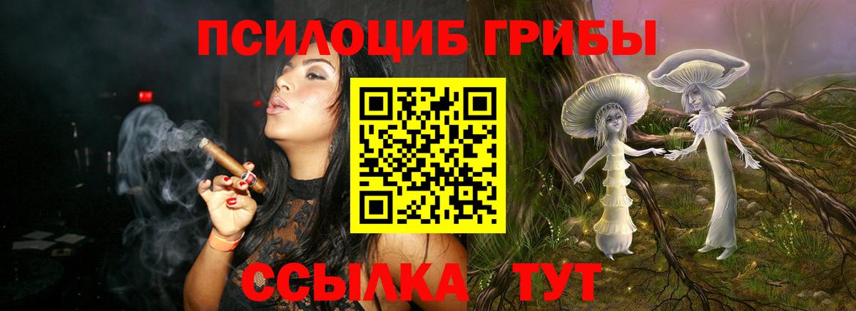 Псилоцибиновые грибы Cubensis  Вход с VPN  Новодвинск 